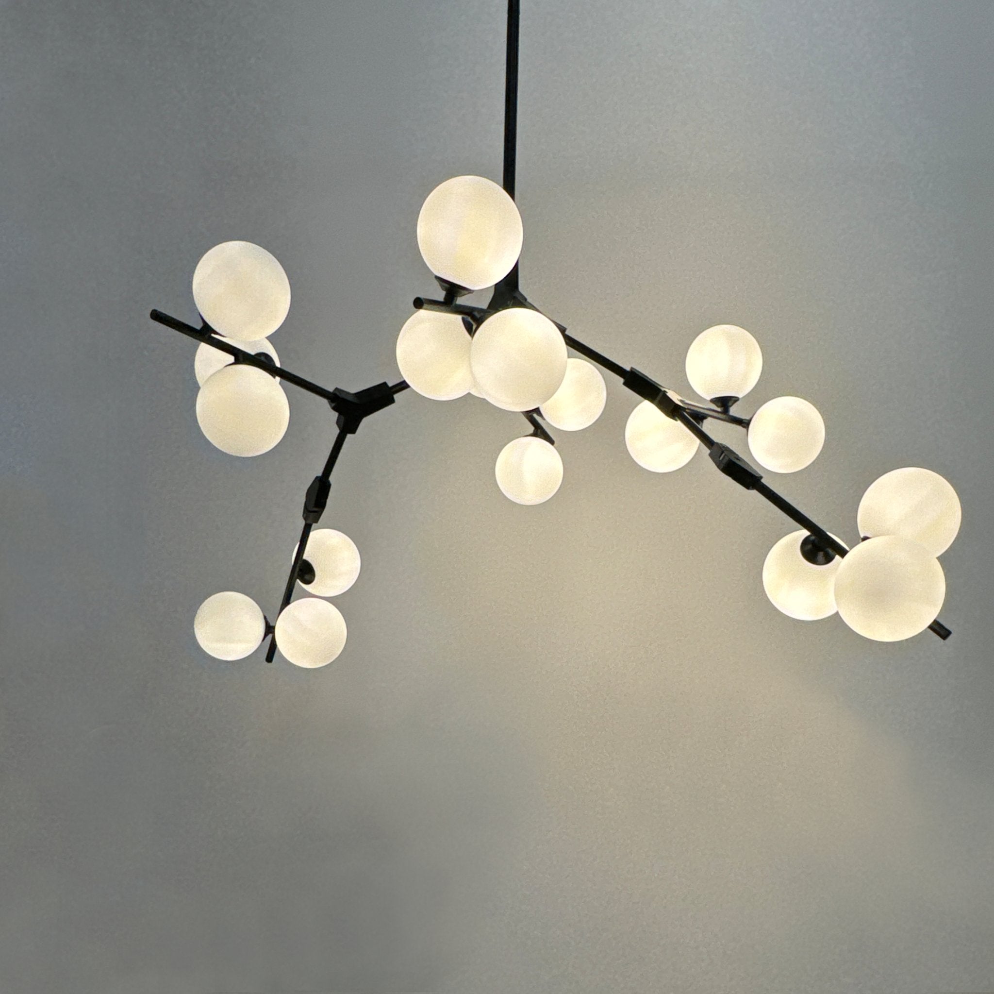 Heritage Tree Branch Chandelier • Black - Haus of Interiors