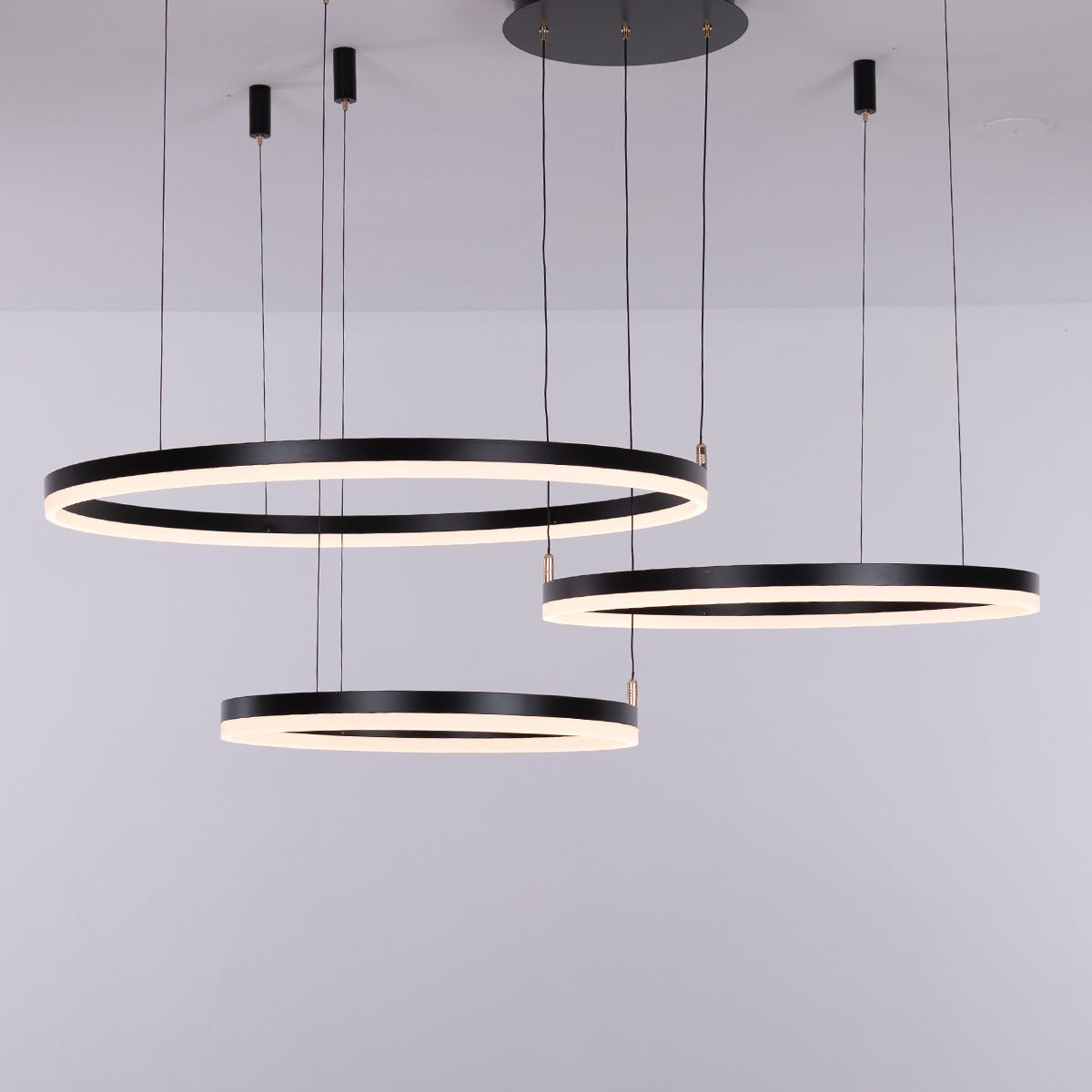 Nordic Ceiling • Black • 50CM + 60CM + 80CM + 100CM - Warehouse Sale - Chandelier - Haus of Interiors