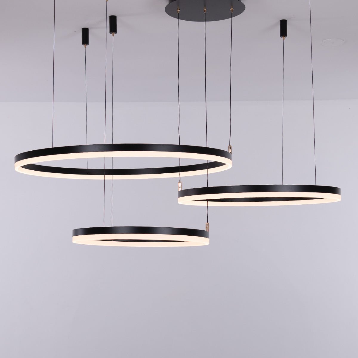 Nordic Ceiling Light Rings • Black - Chandelier - Haus of Interiors