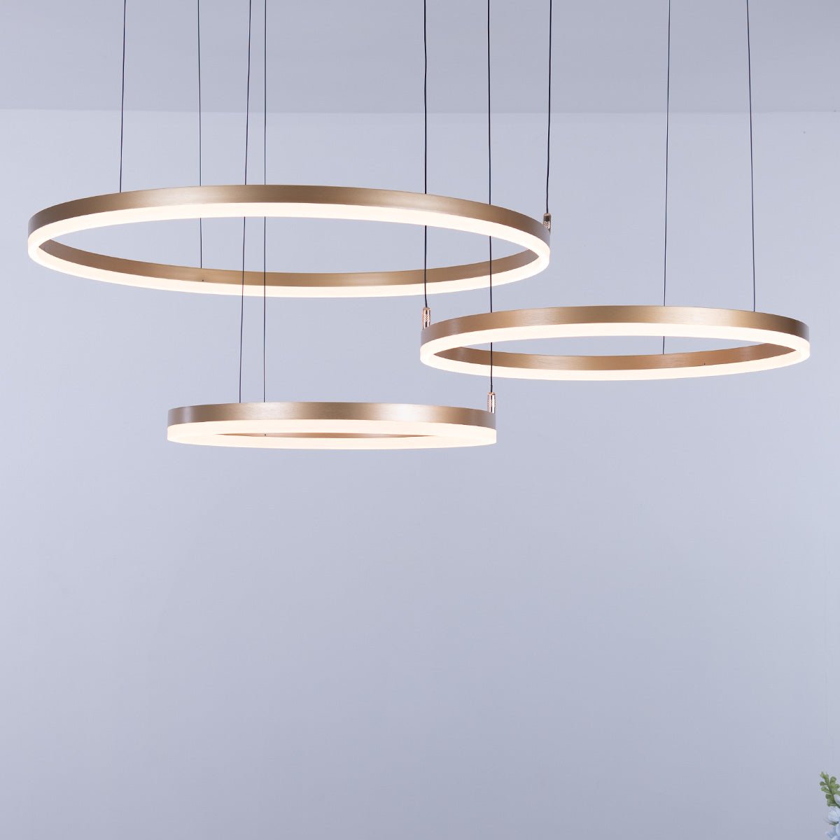 Nordic Rings • Gold • 50CM + 60CM + 80CM + 100CM - Warehouse Sale - Chandelier - Haus of Interiors